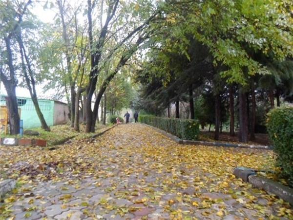 فضای تپه نرگس بیله سوار بهسازی می شود فضای تپه نرگس بیله سوار بهسازی می گردد