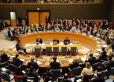 صلح موقت در دنیا به خاطر کرونا ، شورای امنیت بحث می نماید