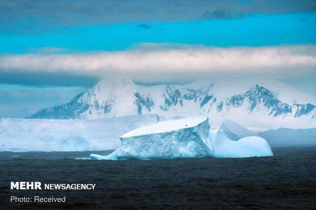 ضرورت ورود به معاهده تحقیقات جنوبگان و پژوهش در قطب جنوب
