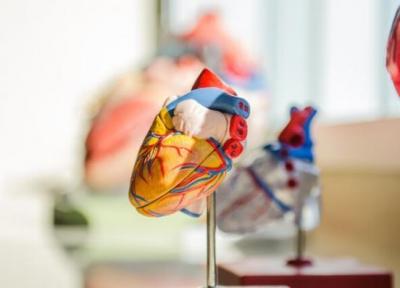 قلب مصنوعی نو با قابلیت تنظیم اتوماتیک ابداع شد